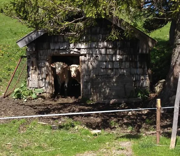 Schoental 3* Werfenweng